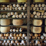 Photo n°2 de l'avis de Bordoli.i fait le 10/10/2022 à 19:07 sur le  Hosteria del Maiale à Polesine Parmense