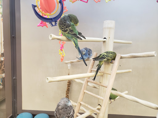 Pet Supply Store «Petco Animal Supplies», reviews and photos, 4840 N Pulaski Rd #100, Chicago, IL 60630, USA