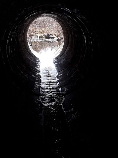 Park «Laura Gilpin Park», reviews and photos, 7415 Kettle Drum St, Colorado Springs, CO 80922, USA