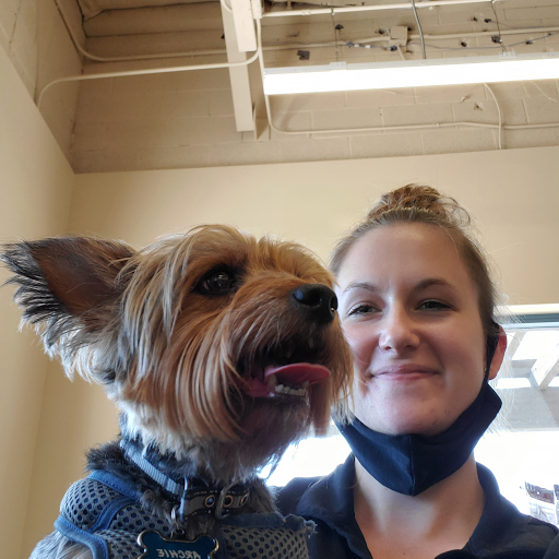 Pet Store «Choice Pet Market», reviews and photos, 15681 N Hayden Rd #114, Scottsdale, AZ 85260, USA