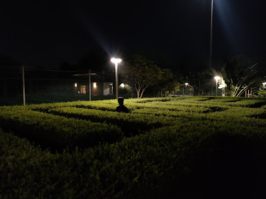 Google Maps image 11