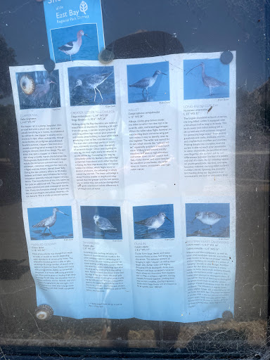 Gym «Harbor Bay Club», reviews and photos, 200 Packet Landing Rd, Alameda, CA 94502, USA