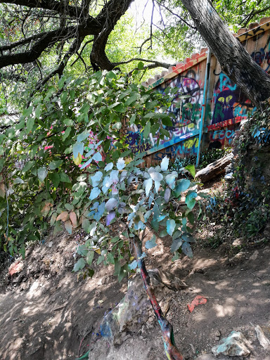 Art Gallery «HOPE Outdoor Gallery», reviews and photos, 1101 Baylor St, Austin, TX 78703, USA