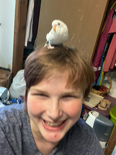 Pet Supply Store «PetSmart», reviews and photos, 14 Crossing Way #2, Augusta, ME 04330, USA