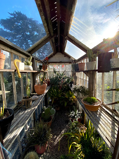 Gift Shop «GENERAL STORE», reviews and photos, 4035 Judah St, San Francisco, CA 94122, USA