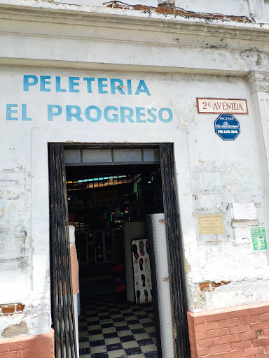 Peletería El Progreso/DRISA