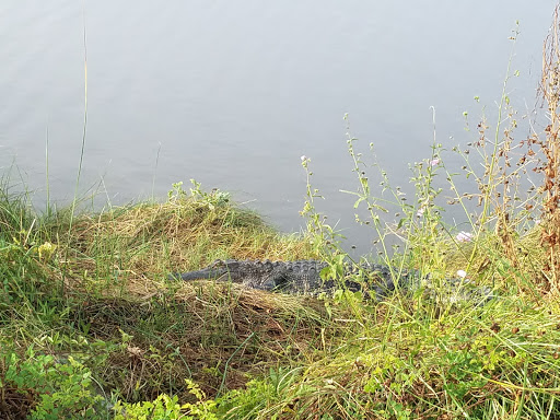 National Park «Atalaya», reviews and photos, Atalaya Rd, Murrells Inlet, SC 29576, USA