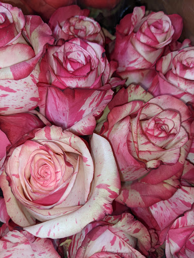 Health Food Store «Sprouts Farmers Market», reviews and photos, 33650 US Hwy 19 N, Palm Harbor, FL 34684, USA