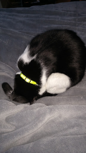 Pet Supply Store «Petco Animal Supplies», reviews and photos, 309 Worth Ave #123, Stafford, VA 22554, USA