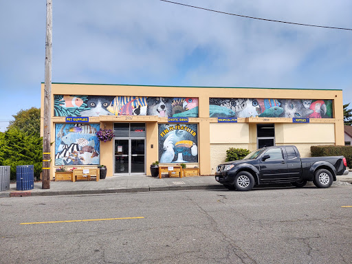Fin-N-Feather, 2931 F St, Eureka, CA 95501, USA, 