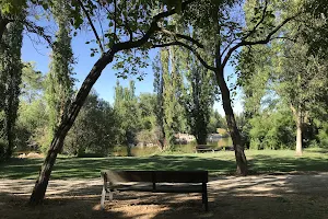 The park Soto Mostoles image