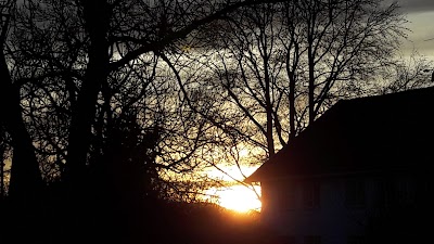 Photos of Ringvold Orchard