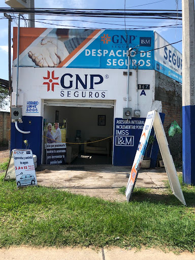 DESPACHO DE SEGUROS GNP