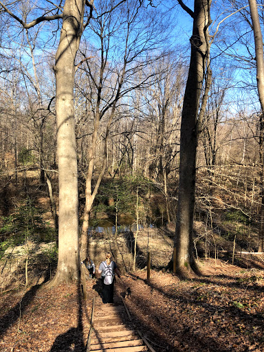 Nature Preserve «Swift Creek Bluffs Nature Preserve», reviews and photos, 7800 Holly Springs Rd, Raleigh, NC 27606, USA