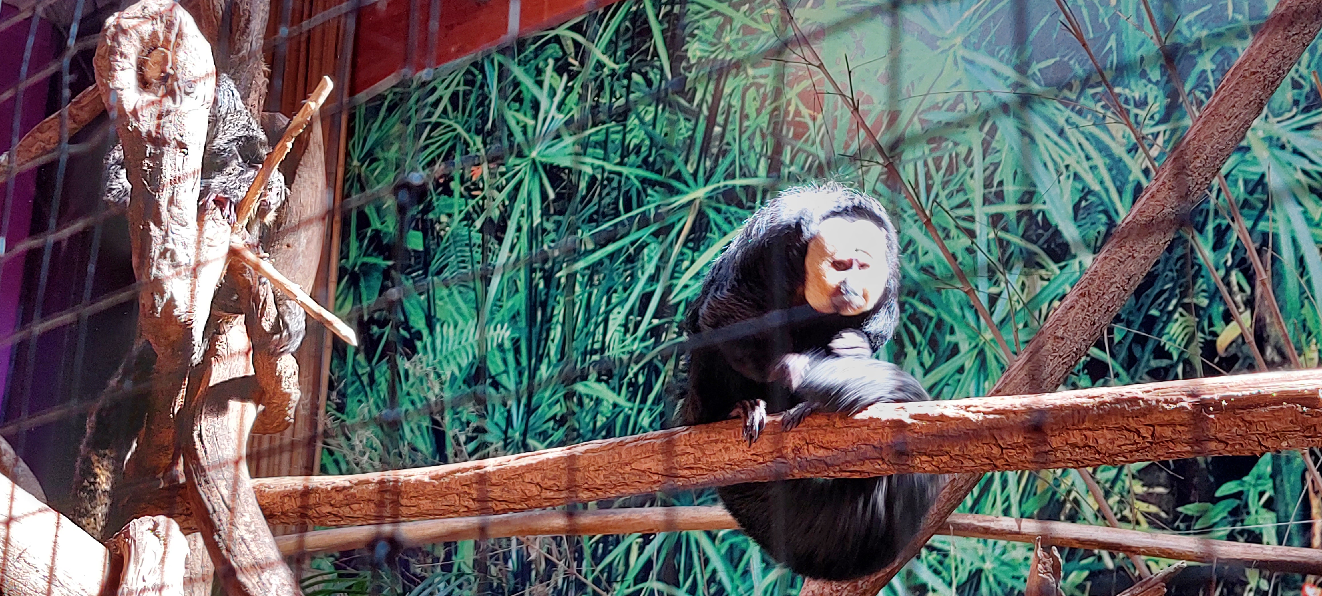 Photo n° 1 de l'avis de nathalie.E fait le 08/10/2023 à 08:49