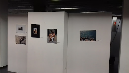 Polideportivo de Cizur Menor en Cizur Menor, Navarra