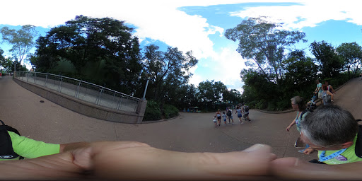 Tourist Attraction «Finding Nemo - The Musical», reviews and photos, Dinoland U.S.A., Kissimmee, FL 34747, USA