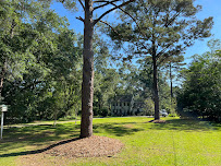 Tallahassee Lawn Salon - Photo 7 - Car repair in , Tallahassee