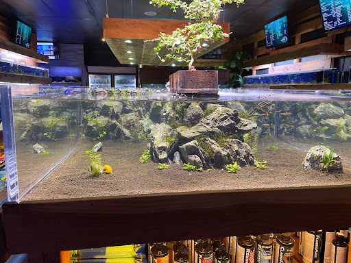 Tropical Fish Store «Kona Reef AZ - Pet Kona», reviews and photos, 10855 N 116th St #101, Scottsdale, AZ 85259, USA