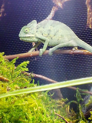 Pet Supply Store «Petco Animal Supplies», reviews and photos, 377 W Jackson St #11, Cookeville, TN 38501, USA