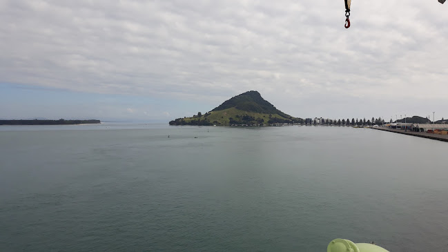 Mount Maunganui Wharves Berth 7 - Courier service