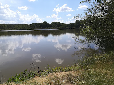 Étang des Sceps à Genouilly