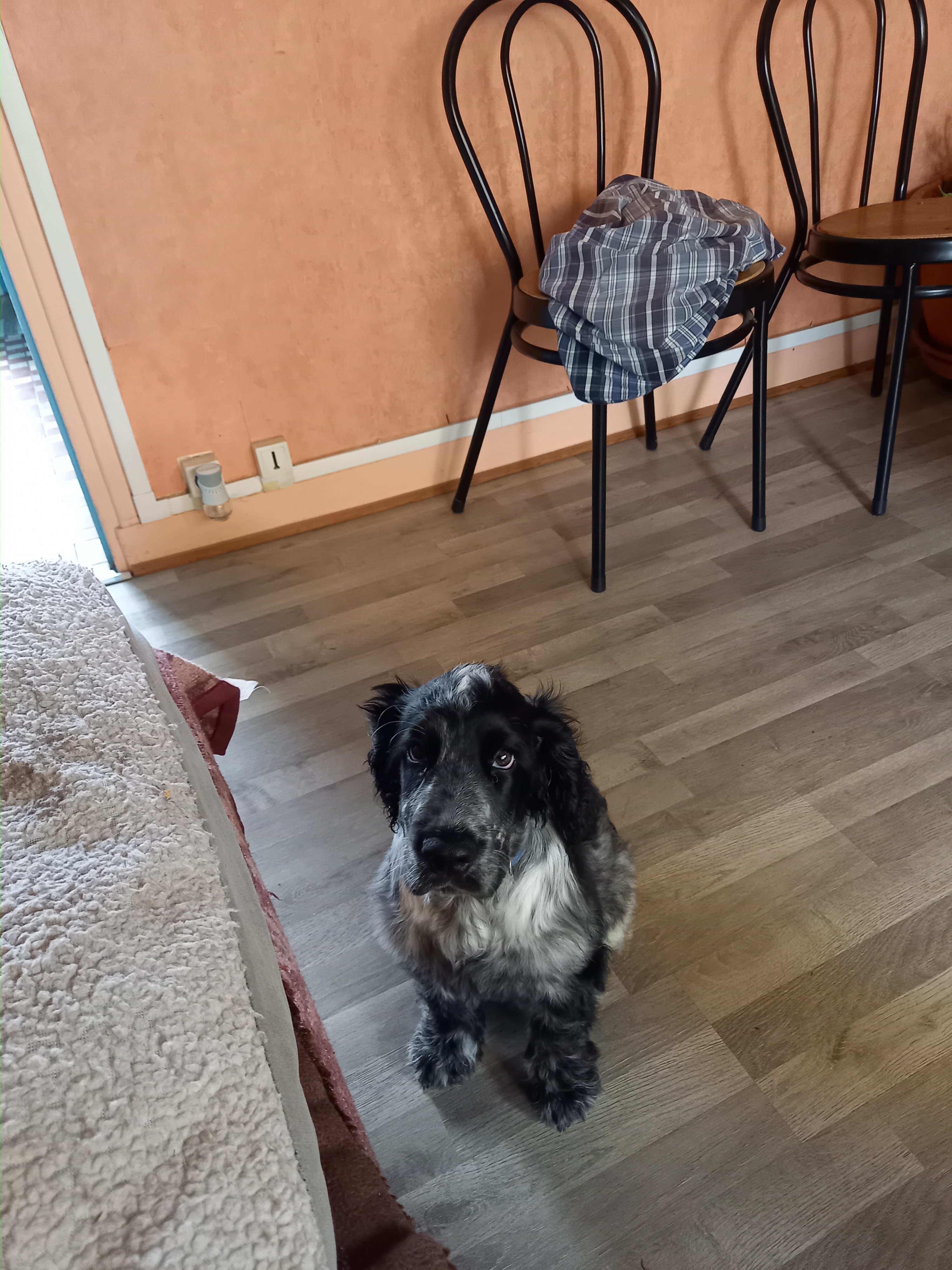 Photo n° 5 de l'avis de Bernard.u fait le 24/06/2021 à 05:58