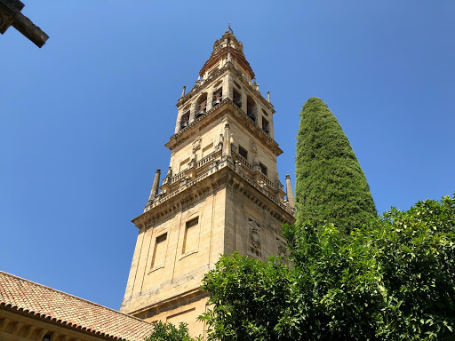 Información y opiniones sobre Berlin cabaret granada de Granada