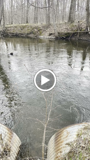 Nature Preserve «Leonard Preserve», reviews and photos, N Union St, Manchester, MI 48158, USA