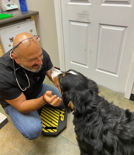 Salem Animal Hospital image