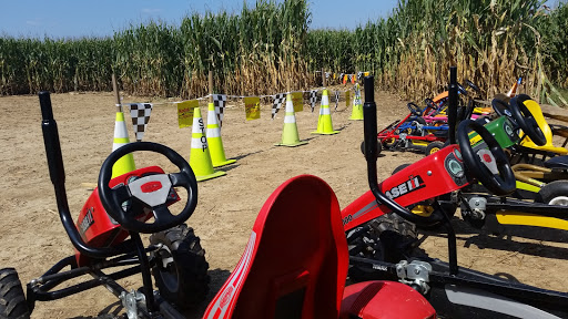 Tourist Attraction «Oregon Dairy Corn Maze», reviews and photos, 1289 Creek Rd, Lititz, PA 17543, USA