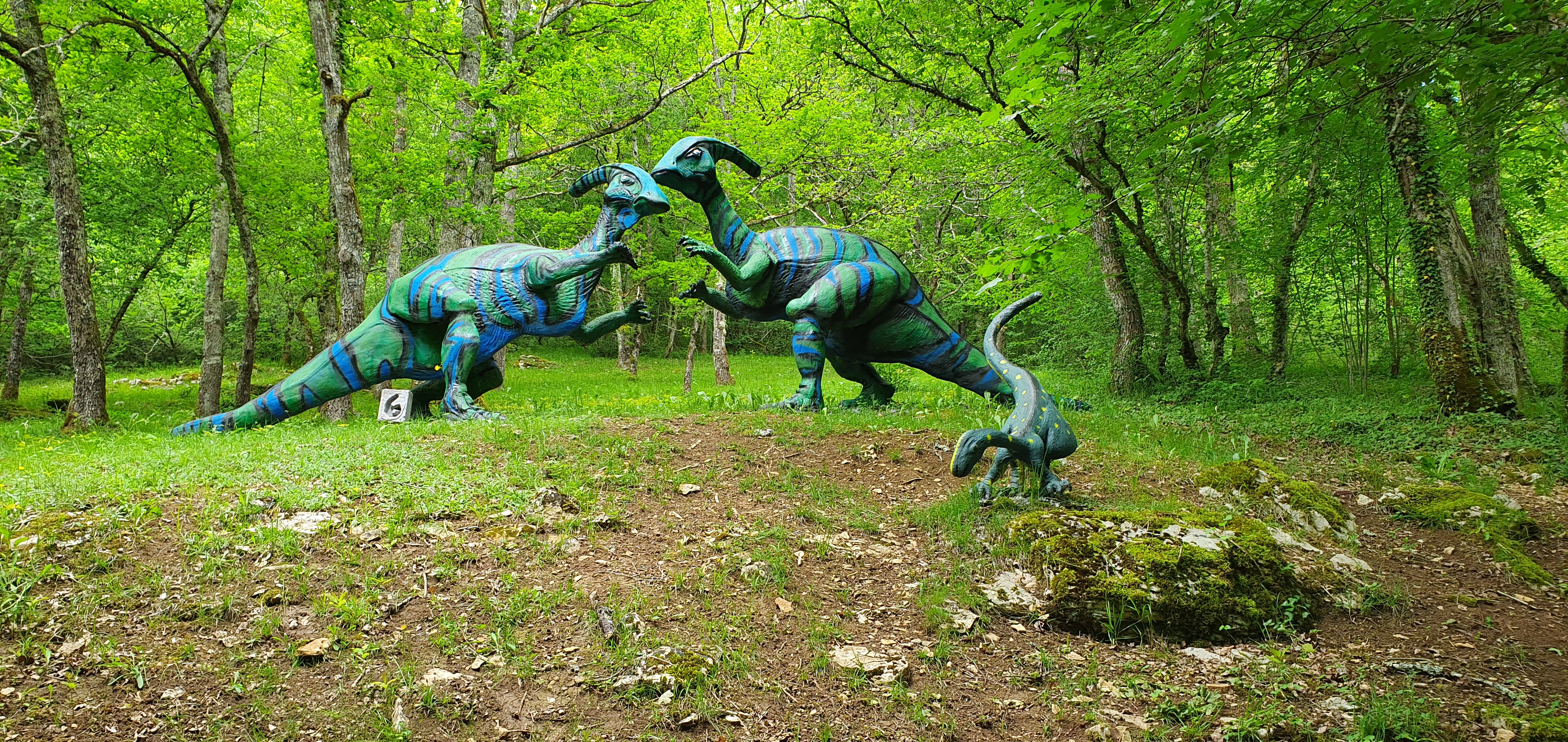 Photo n° 1 de l'avis de Pierre.d fait le 04/06/2019 à 14:25