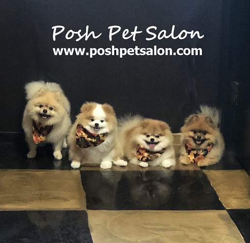 Posh Pet Salon