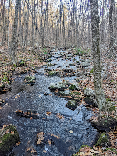 Nature Preserve «Summer Star Wildlife Sanctuary», reviews and photos, 690 Linden St, Boylston, MA 01505, USA