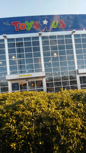 Toy Store «Toys
