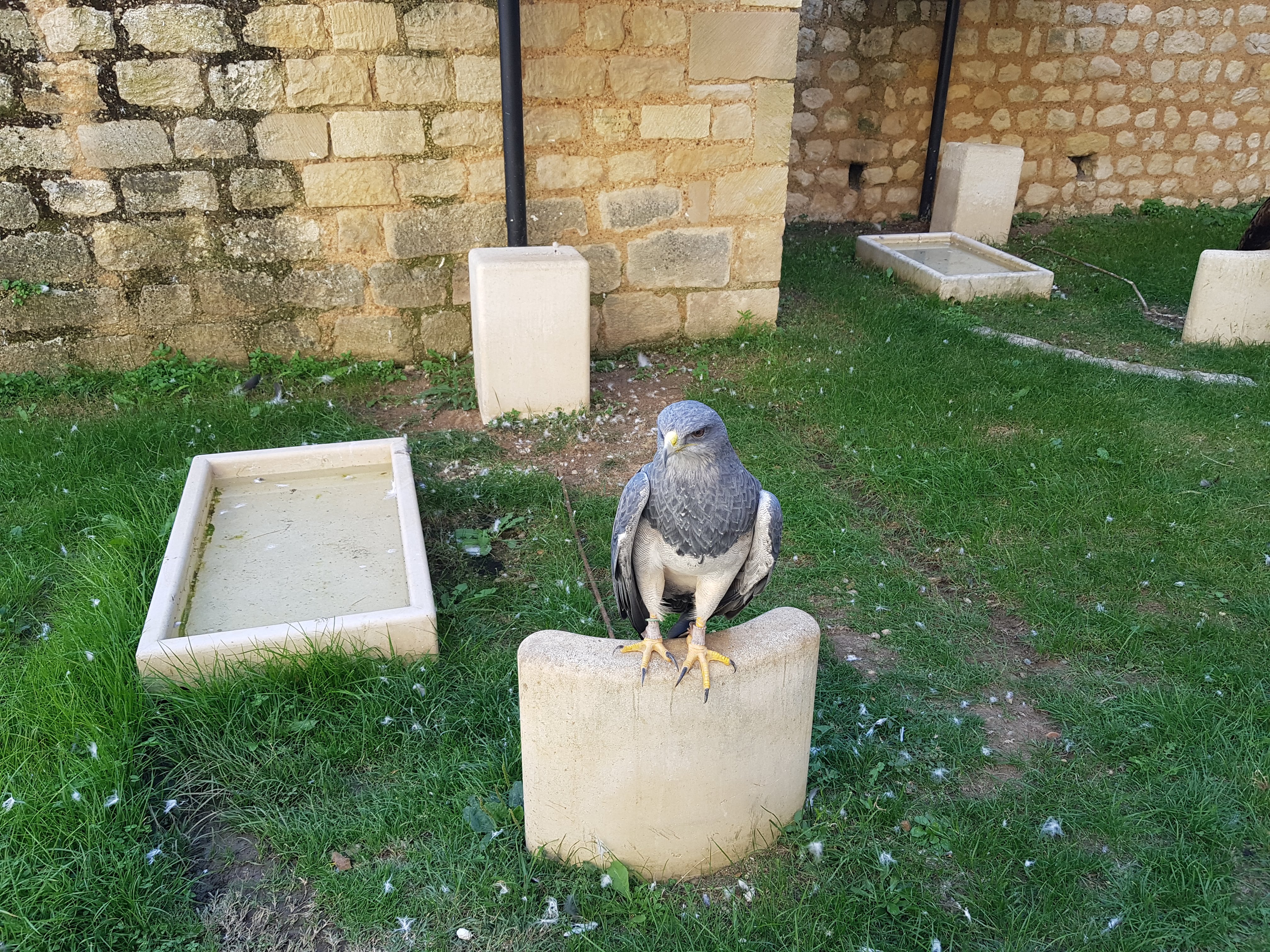 Photo n° 24 de l'avis de Alexandre.L fait le 24/09/2017 à 17:00