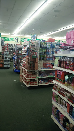 Dollar Store «Dollar Tree», reviews and photos, 5435 N Harlem Ave, Chicago, IL 60656, USA