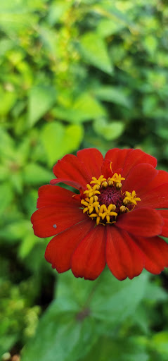 Park «Little Nancy Creek Park», reviews and photos, 4012 Peachtree Dunwoody Rd, Atlanta, GA 30342, USA