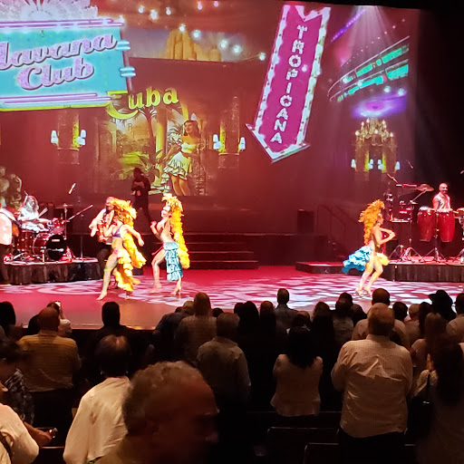 Performing Arts Theater «Charles W. Eisemann Center for Performing Arts and Corporate Presentations», reviews and photos, 2351 Performance Dr, Richardson, TX 75082, USA