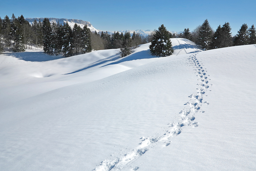 randonnée en montagne et voyage à Lathuile (Haute-Savoie 74)