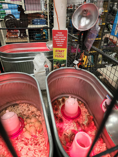 Home Improvement Store «Tractor Supply Co.», reviews and photos, 3350 N Central Expy, McKinney, TX 75071, USA