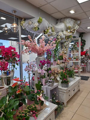 Danyflor à Bergerac