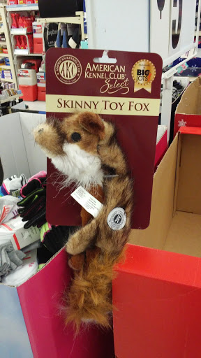 Discount Store «Big Lots», reviews and photos, 20 Court House South Dennis Rd, Cape May Court House, NJ 08210, USA