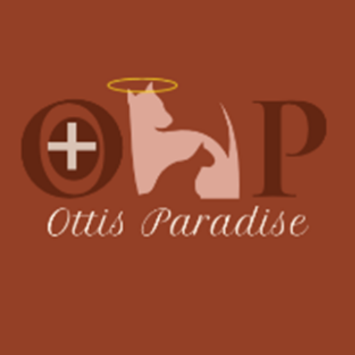 OTTIS PARADISE