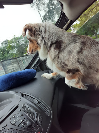 Pet Supply Store «Big Tex Feed & Pet Supply», reviews and photos, 7102 Cullen Blvd, Houston, TX 77021, USA