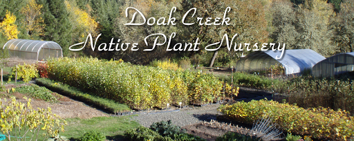 Doak Creek Native Plant Nursery