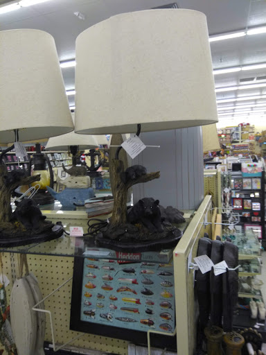 Craft Store «Hobby Lobby», reviews and photos, 1317 Bridford Pkwy, Greensboro, NC 27407, USA
