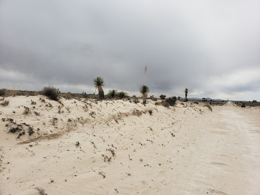 National Park «Guadalupe Mountains National Park», reviews and photos