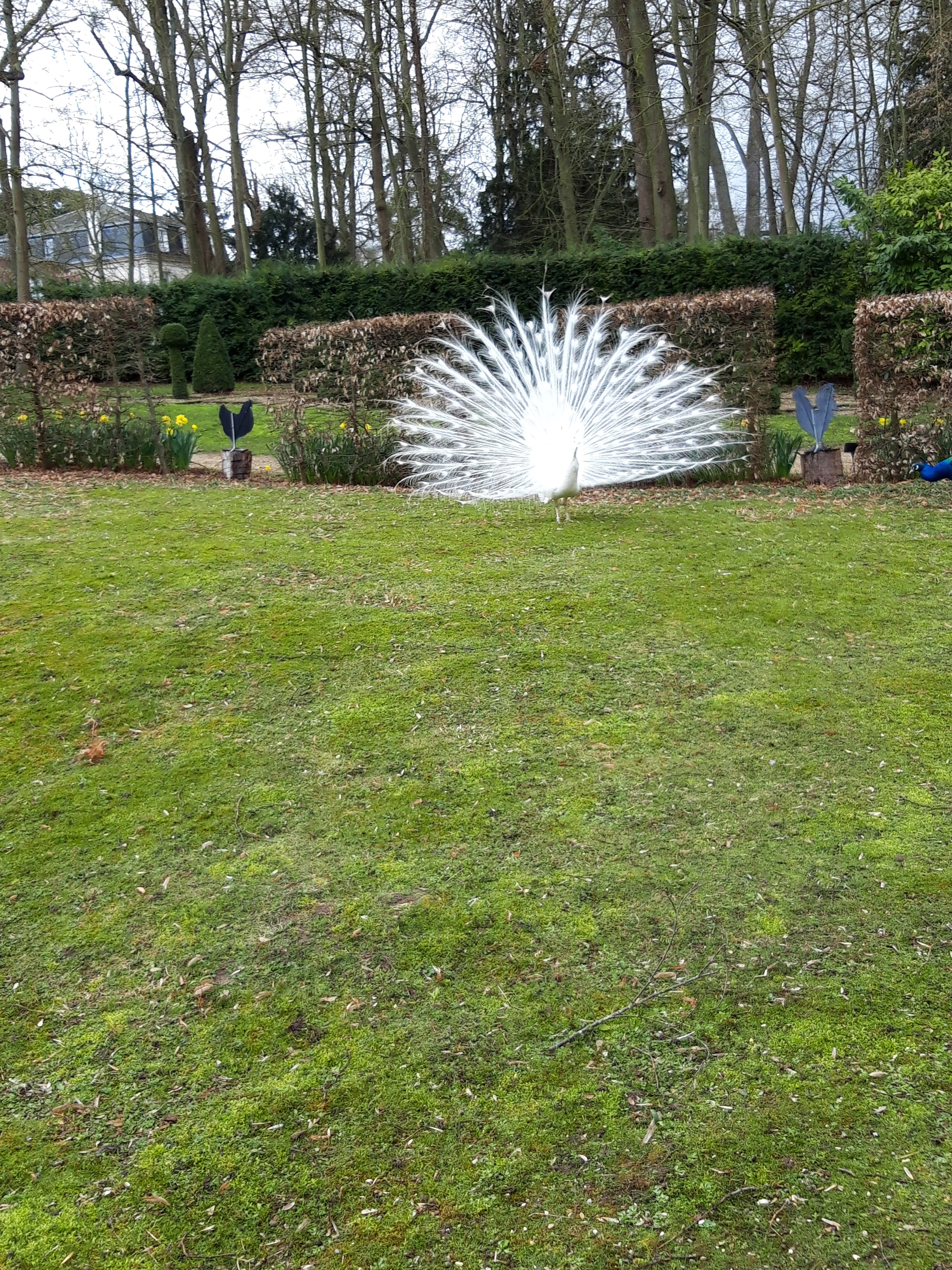 Photo n° 1 de l'avis de Marion.a fait le 27/03/2019 à 07:22