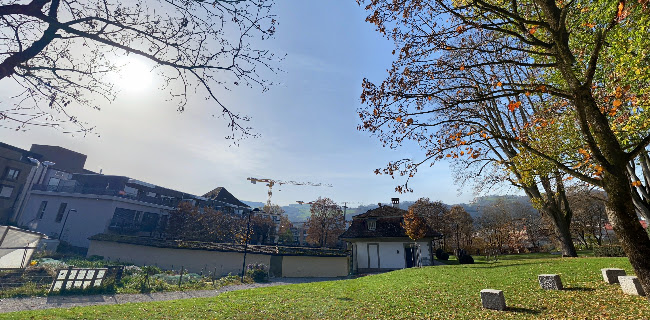 Rezensionen über Schloss Münsingen in Thun - Museum